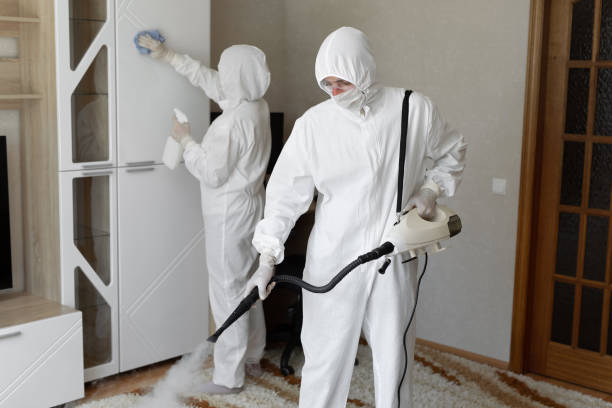 Affordable Infectious Disease Decontamination solutions in Luebbering, MO